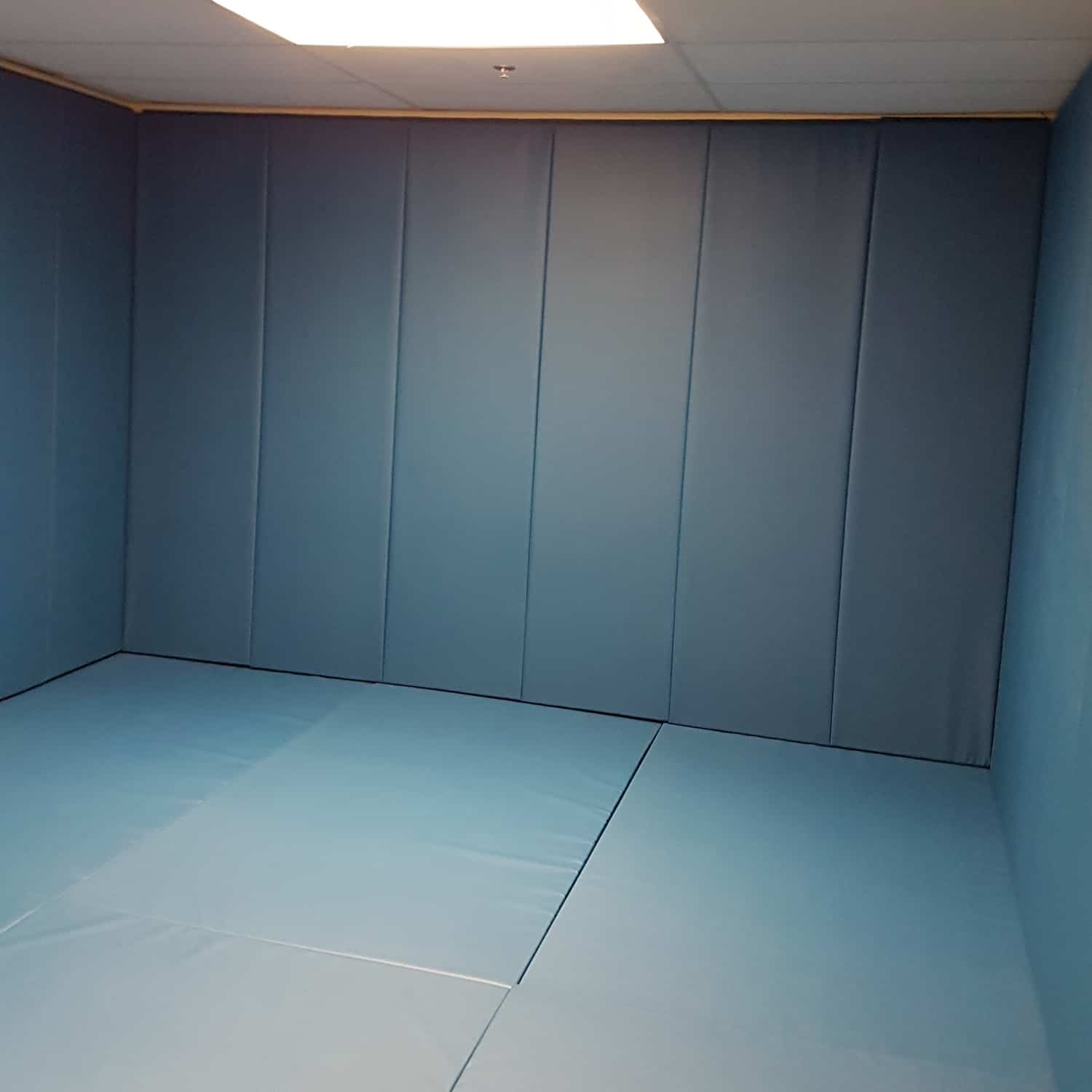 https://appleathletic.com/wp-content/uploads/2019/12/6-protective-padding-calming-rooms.jpg